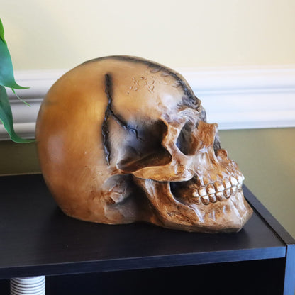 Spooky Scary Old Looking Human Skull Decor Statue/Sculpture for Halloween Haunted House Prop Decorations, Life Size, Brown - Brown 8.5" X 5" X 6.25" - PT03