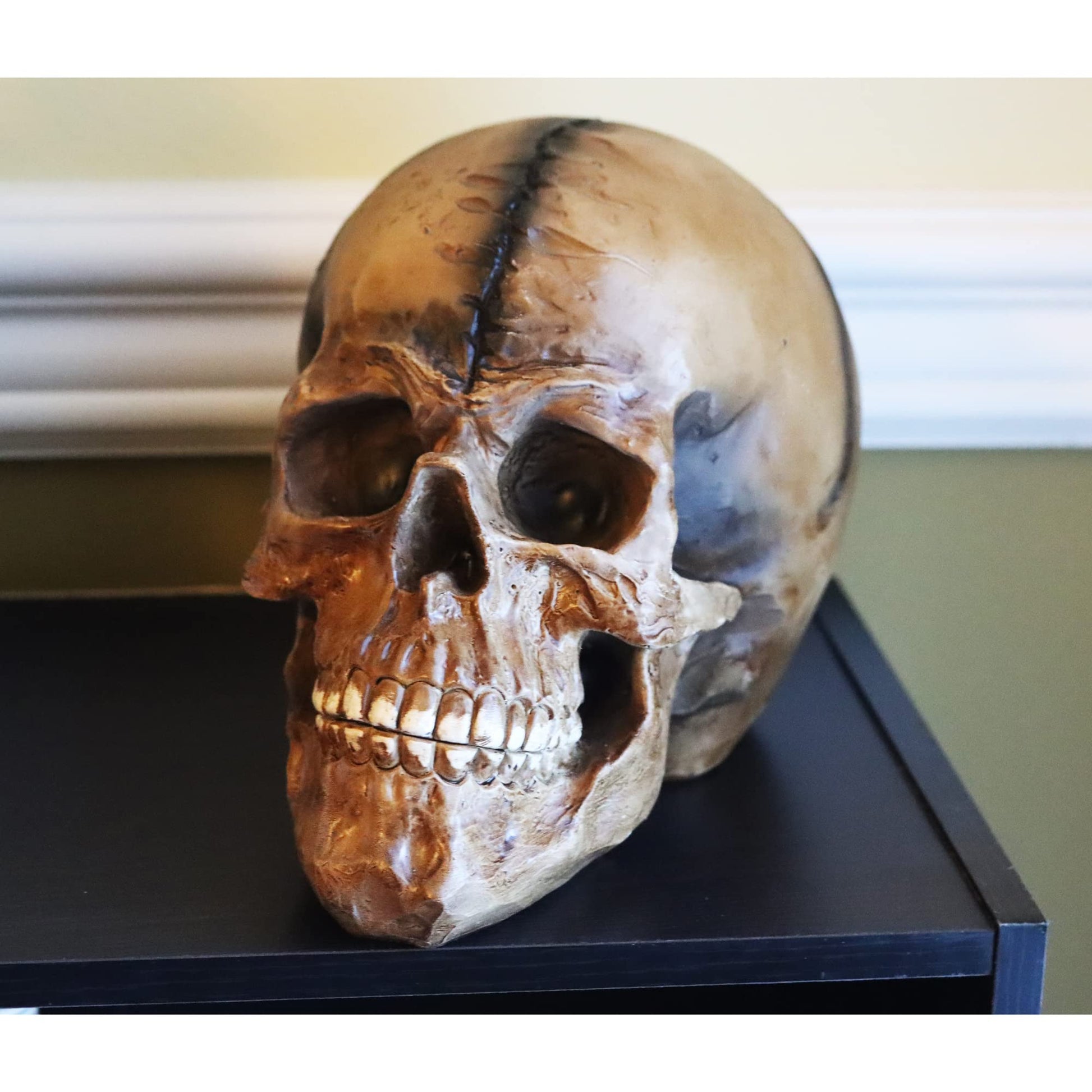Spooky Scary Old Looking Human Skull Decor Statue/Sculpture for Halloween Haunted House Prop Decorations, Life Size, Brown - Brown 8.5" X 5" X 6.25" - PT02